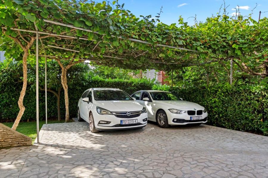 Parking under the vine pergola
